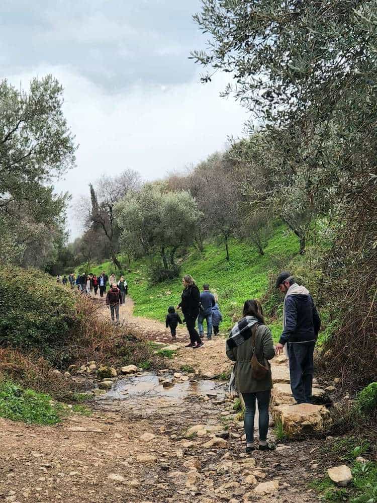 קטע מנחל ראש פינה