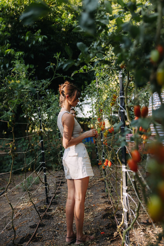 גן ירק אורגני