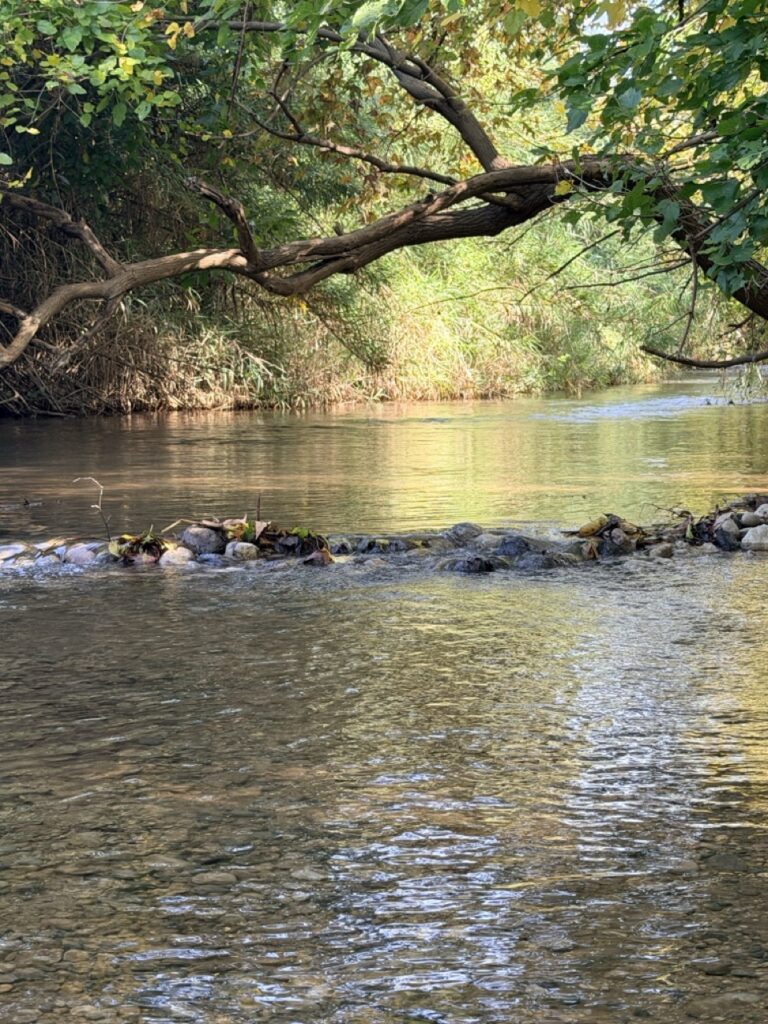 בית הלל - כפר תיירות על הנחל